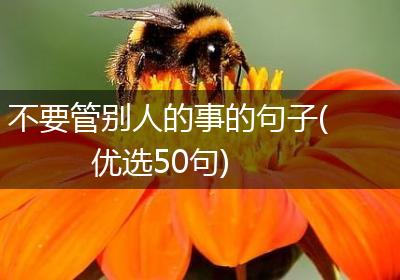 不要管别人的事的句子(优选50句)