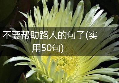 不要帮助路人的句子(实用50句)
