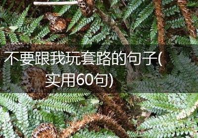 不要跟我玩套路的句子(实用60句)