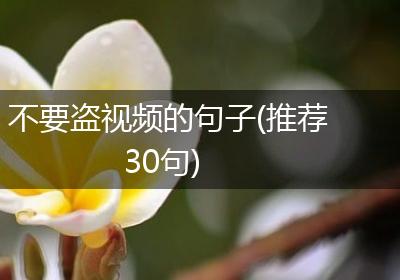 不要盗视频的句子(推荐30句)
