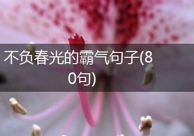 不负春光的霸气句子(80句)