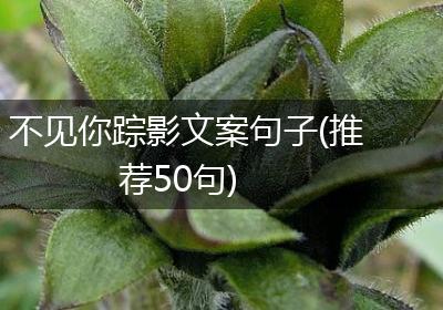 不见你踪影文案句子(推荐50句)