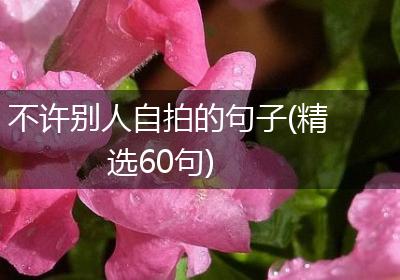 不许别人自拍的句子(精选60句)