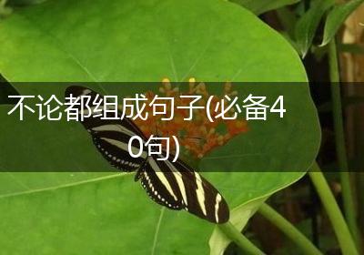 不论都组成句子(必备40句)