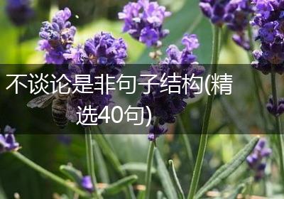 不谈论是非句子结构(精选40句)