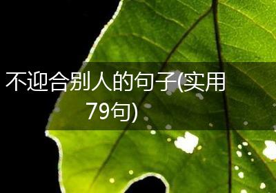 不迎合别人的句子(实用79句)
