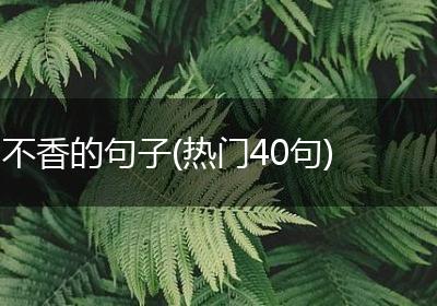 不香的句子(热门40句)