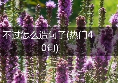 不过怎么造句子(热门40句)