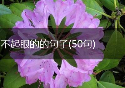 不起眼的的句子(50句)