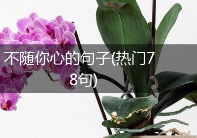 不随你心的句子(热门78句)
