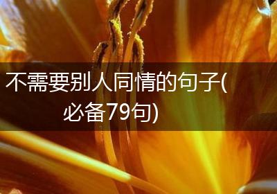 不需要别人同情的句子(必备79句)