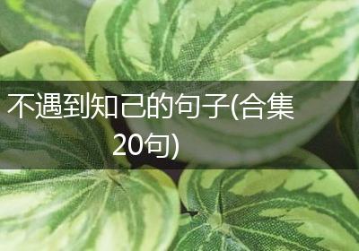 不遇到知己的句子(合集20句)
