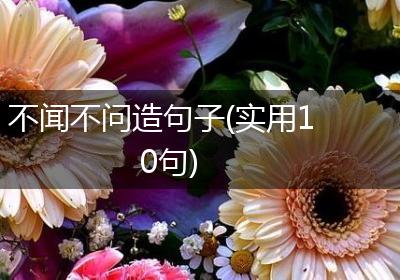 不闻不问造句子(实用10句)