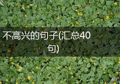 不高兴的句子(汇总40句)