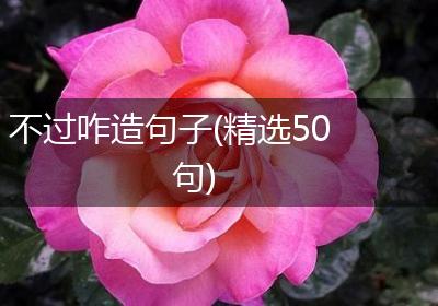 不过咋造句子(精选50句)