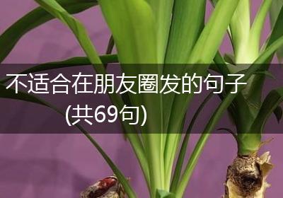 不适合在朋友圈发的句子(共69句)
