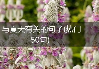 与夏天有关的句子(热门50句)