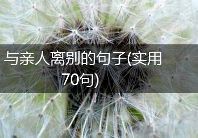 与亲人离别的句子(实用70句)
