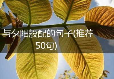 与夕阳般配的句子(推荐50句)