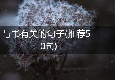 与书有关的句子(推荐50句)