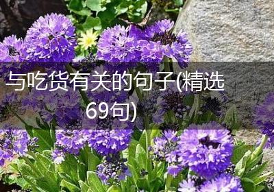 与吃货有关的句子(精选69句)