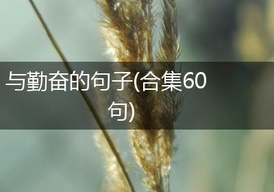 与勤奋的句子(合集60句)