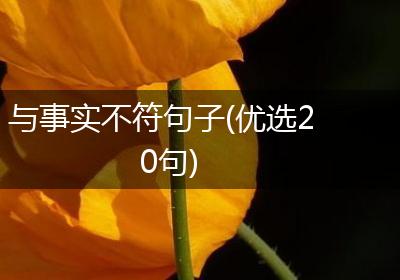 与事实不符句子(优选20句)