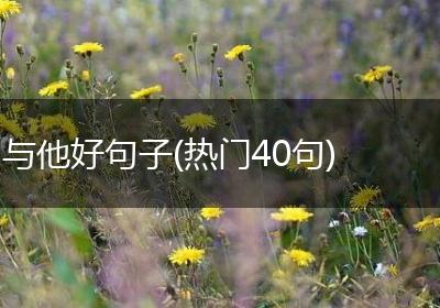 与他好句子(热门40句)