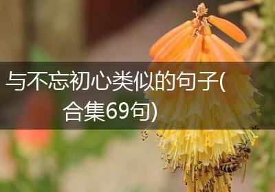 与不忘初心类似的句子(合集69句)