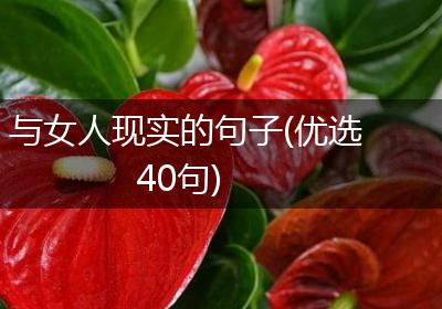 与女人现实的句子(优选40句)