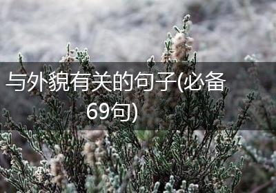 与外貌有关的句子(必备69句)