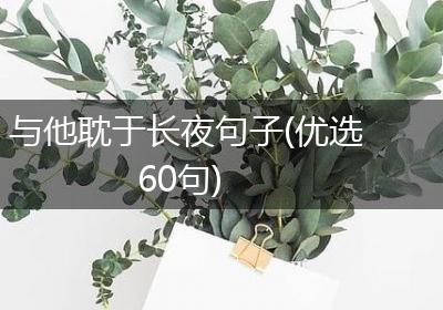 与他耽于长夜句子(优选60句)