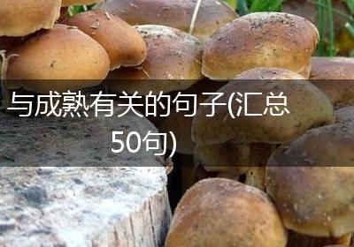 与成熟有关的句子(汇总50句)