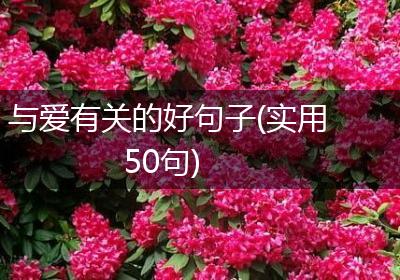与爱有关的好句子(实用50句)