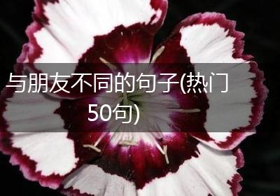 与朋友不同的句子(热门50句)