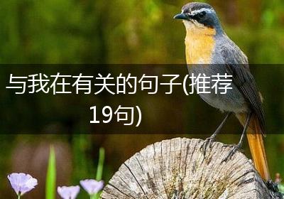 与我在有关的句子(推荐19句)