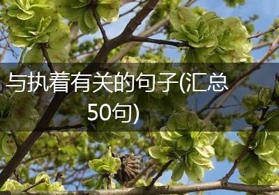 与执着有关的句子(汇总50句)