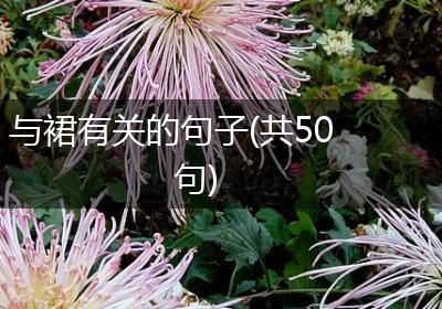 与裙有关的句子(共50句)