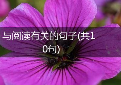 与阅读有关的句子(共10句)