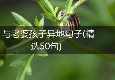 与老婆孩子异地句子(精选50句)