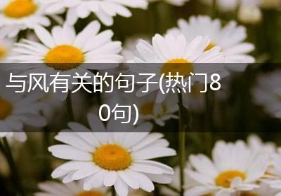 与风有关的句子(热门80句)