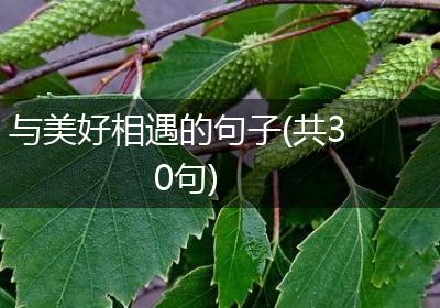 与美好相遇的句子(共30句)