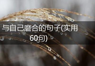 与自己磨合的句子(实用60句)