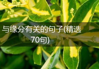 与缘分有关的句子(精选70句)