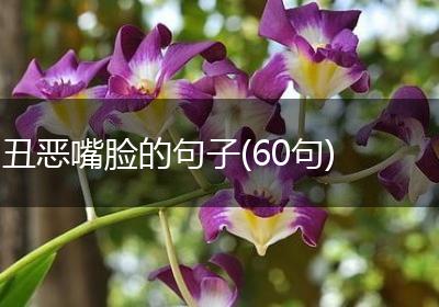 丑恶嘴脸的句子(60句)