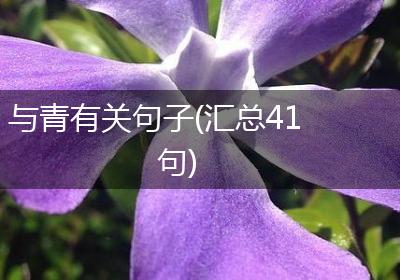 与青有关句子(汇总41句)