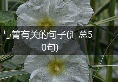 与箐有关的句子(汇总50句)