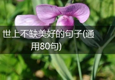 世上不缺美好的句子(通用80句)