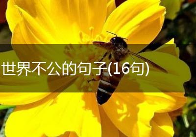 世界不公的句子(16句)