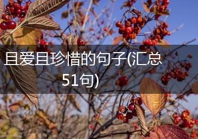 且爱且珍惜的句子(汇总51句)